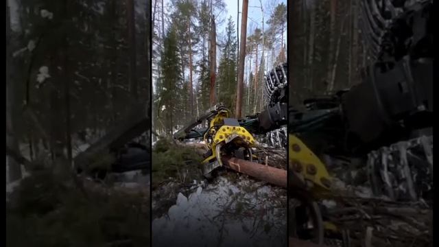 УГРОБИЛИ МАШИНУ ЗА 100 МЛН.РУБЛЕЙ В ЛЕСУ! Часть 1