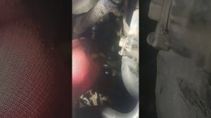 Снятие генератора 4D56 Pajero 2