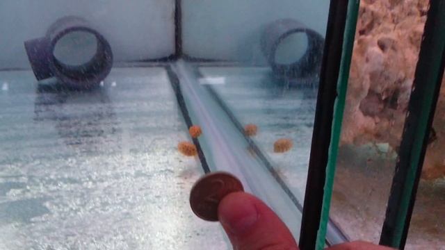Кузовок кубик смотреть онлайн