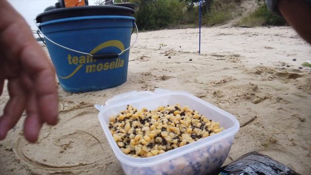 Ловля на Фидер. Осваиваем фидерную рыбалку с нуля. Днепр 2019 смотреть онлайн