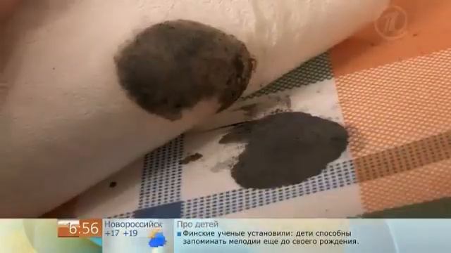 Как вывести пятно от пластилина со скатерти смотреть онлайн