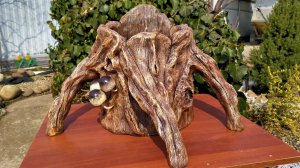 Вазон-кашпо пень с корнями из цемента своими руками