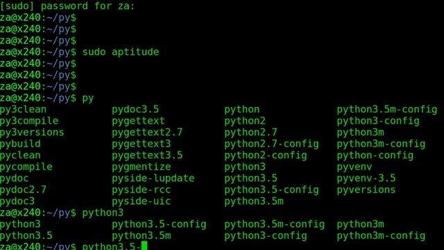 python 3 venv ipython ubuntu 16.04 смотреть онлайн