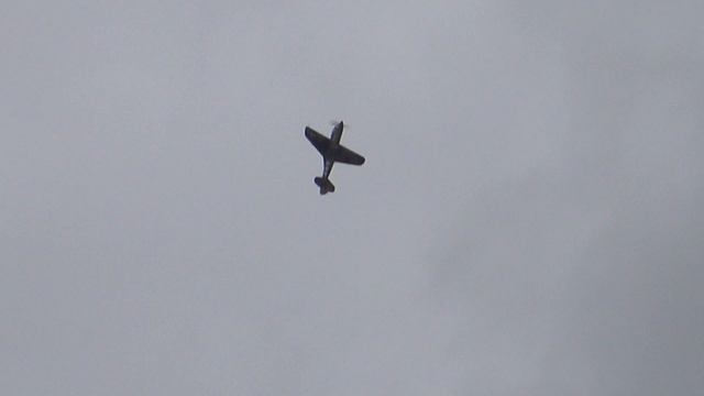 Curtiss Formation - P-40 Warhawks, P-36 & Hawk 75 - Duxford Flying Legends Airshow 2019 смотреть онлайн