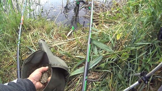 Рыбалка на поплавок на малой речке. Утренний клёв карася на опарыша и манку. смотреть онлайн