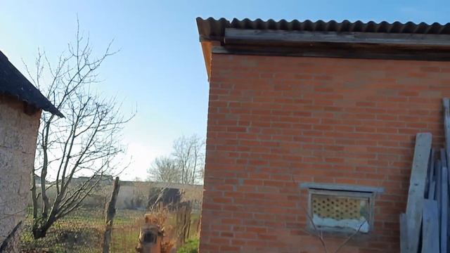 ФУНДУК / ЦВЕТЕНИЕ / ПЕРЕЕЗД НА П.М.Ж. смотреть онлайн