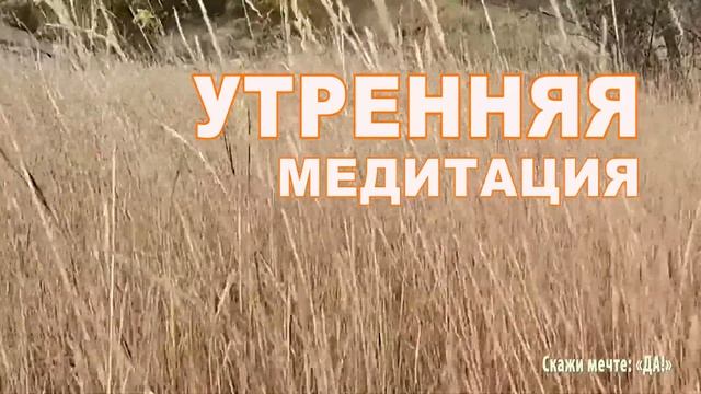 Утренняя медитация на хороший день смотреть онлайн