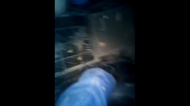 Замена фильтра салона джили мк смотреть онлайн