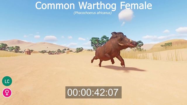 Savanna Animals of Prey Speed Races in Planet Zoo in 4K UHD included Wildebeest, Zebra, Warthog смотреть онлайн