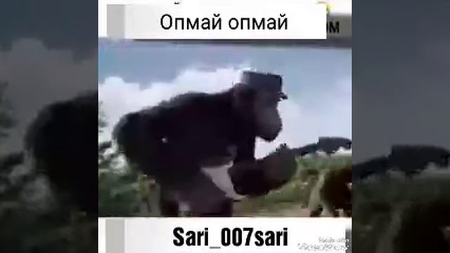 Yangi kliplar смотреть онлайн