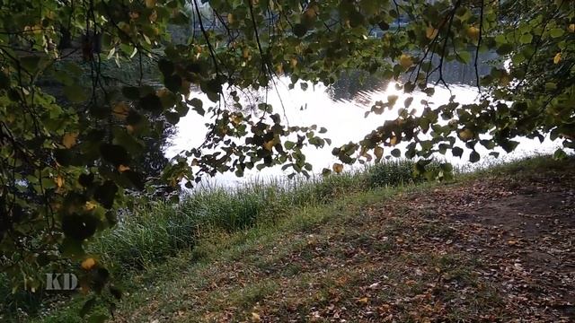 2019.09.11 Лефортовский парк. Прогулка смотреть онлайн