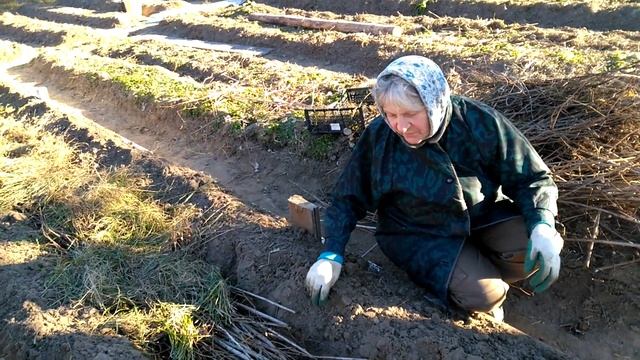 Грядка Розума - Бублика. смотреть онлайн