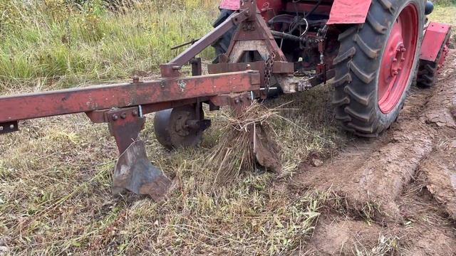 Пашем огород на ЛТЗ Т-40 с плугом ПЛН 3-35 смотреть онлайн