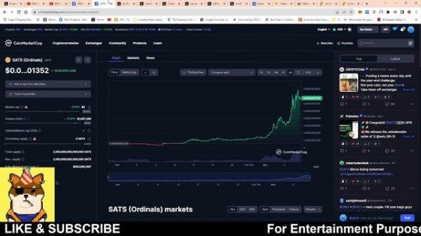BRC-20 TOKEN: JUST TURNED $56 INTO $1000 BY BUYING SHIBA INU || BONE SHIBA SWAP TOKEN IS DEAD ?