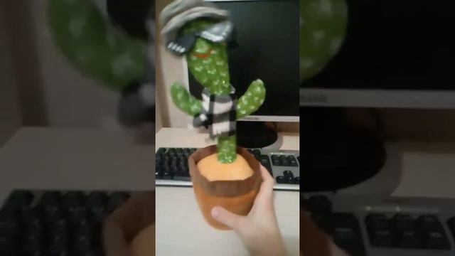 Танцуещий кактус смотреть онлайн