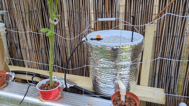 ?Гидропоника - хабанеро, помидоры и огурцы во время жары? смотреть онлайн