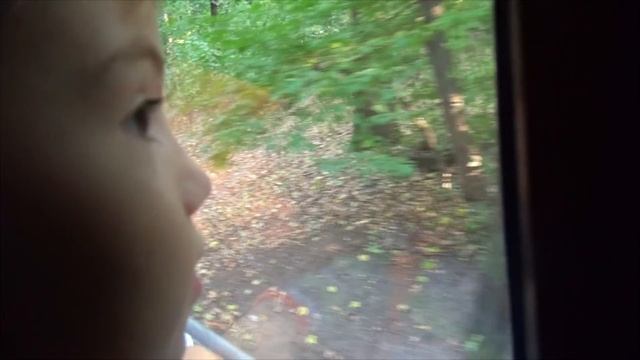 VLOG Детская железная дорога Поезд для детей Катаемся на поезде смотреть онлайн