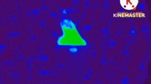 Заставка Спокойной ночи малыши In Crazy Diamond