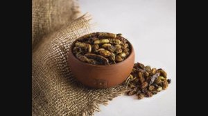 Софора японская при сахарном диабете