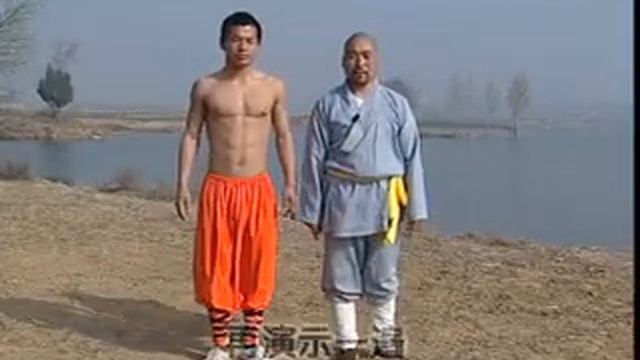 Shaolin Praying Mantis Fist