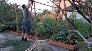 Делаем шпалеры для огурцов на новых грядках, чтобы на участке было не только красиво но и практично