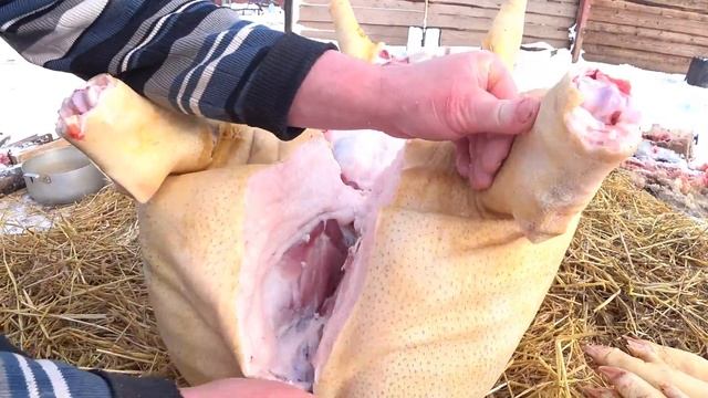 Профессиональная разделка туши свиньи смотреть онлайн