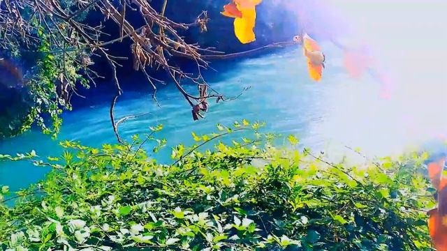 ???Relaxing music for sleep, meditation and stress management #relax #relaxing #relaxingmusic #rela смотреть онлайн