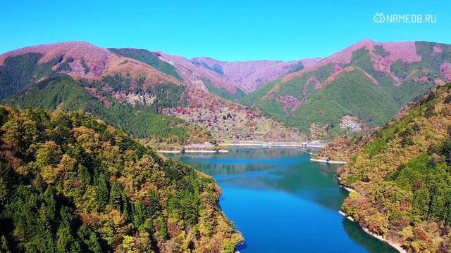 Значение имени Гордей: карма, характер и судьба смотреть онлайн