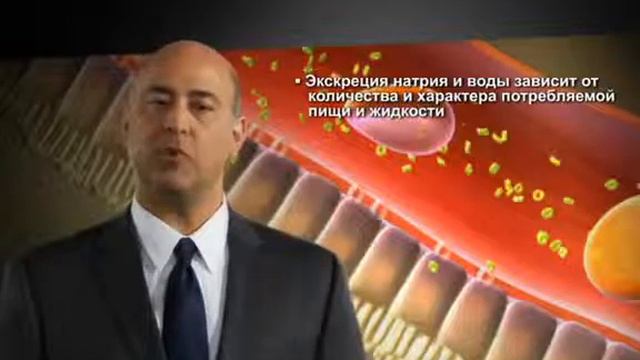 Почки и сахарный диабет 2 типа смотреть онлайн