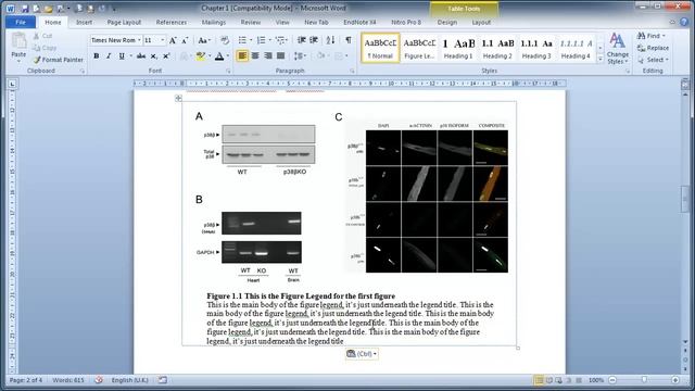 Microsoft Word - Inserting figures and Legends смотреть онлайн