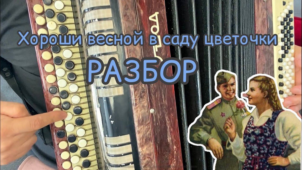 Хороши весной в саду цветочки /РАЗБОР НА БАЯНЕ за 2 минут/ смотреть онлайн