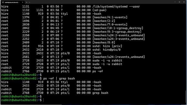 【Linuxコマンドの基本02】一行で書くプログラム　ワンライナー　（この動画で解説してあるコマンド：grep sort uniq awk tee ps） смотреть онлайн