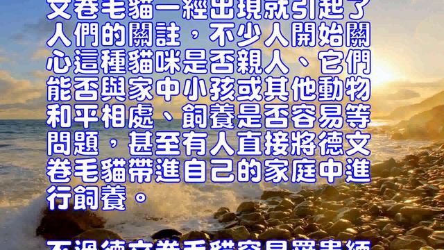 德文卷毛貓品種簡介 смотреть онлайн
