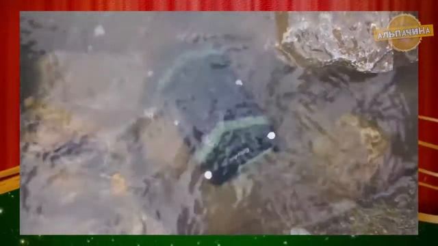 ? ЛУЧШИЕ ТОВАРЫ ДЛЯ ВЫЖИВАНИЯ, ОХОТЫ И КЕМПИНГА С АЛИЭКСПРЕСС? 2020 смотреть онлайн