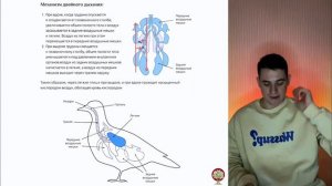 ДВОЙНОЕ ДЫХАНИЕ ПТИЦ ЗА 1 МИНУТУ🐥