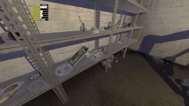Building The SATSUMA With Dingus Cat In My Summer Car Mods!