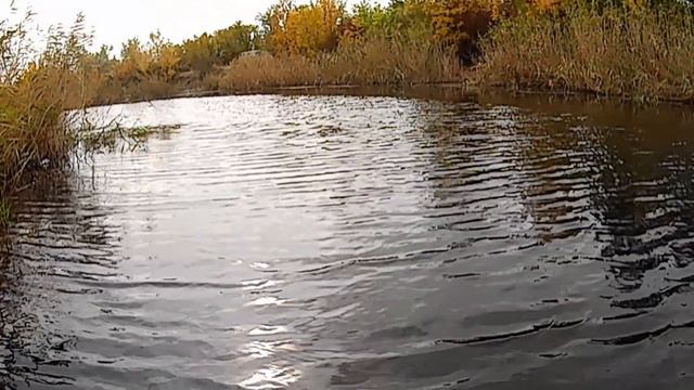 Сосновка, очень красивое место. смотреть онлайн