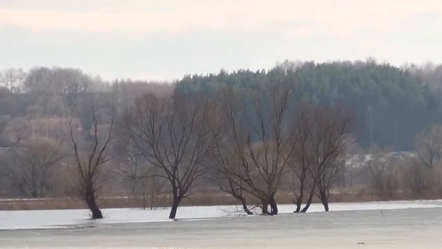 Разлив Оки. Озёры 2013 смотреть онлайн