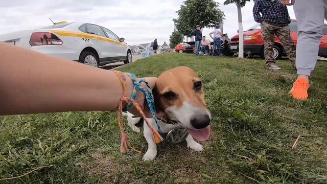 Vagburg 2019. Дома на колесах и немного vanlife. смотреть онлайн