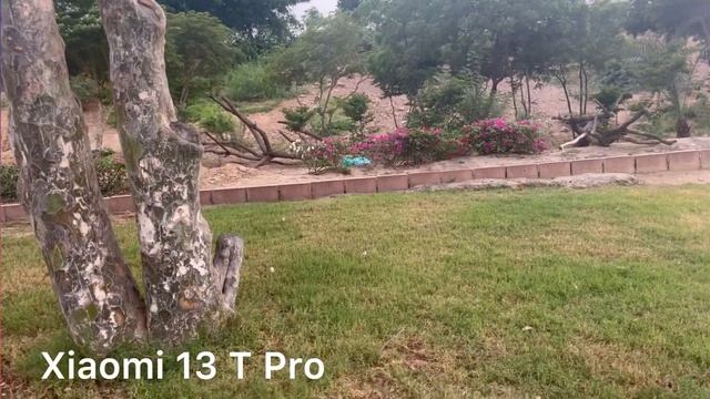 Xiaomi 13t Vs Xiaomi 13t pro Camera comparison смотреть онлайн