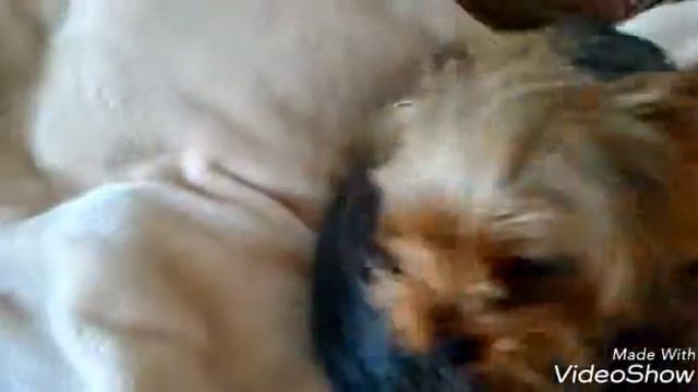 Привет это я смотреть онлайн