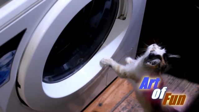 Машка и стиральная машина Masha and washing machine смотреть онлайн