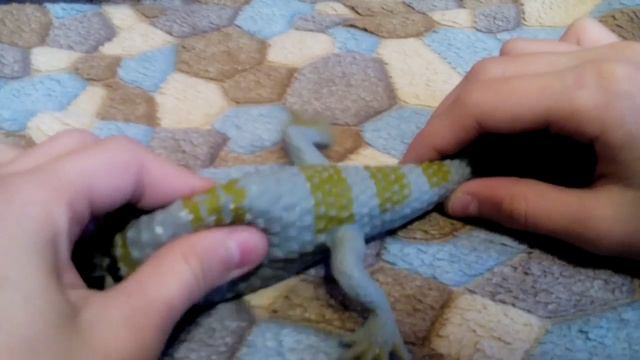 Драконы и ящерицы смотреть онлайн