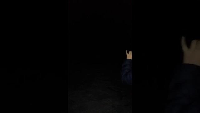 Новогодние салюты смотреть онлайн