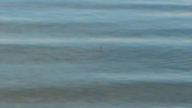 Рыбалка на Иркутском водохранилище смотреть онлайн