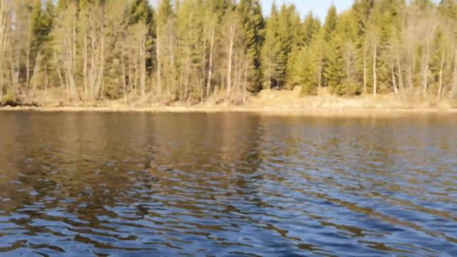 Ловля рыбы в реке на катиску, металлическая сетка. Река в финляндии. смотреть онлайн