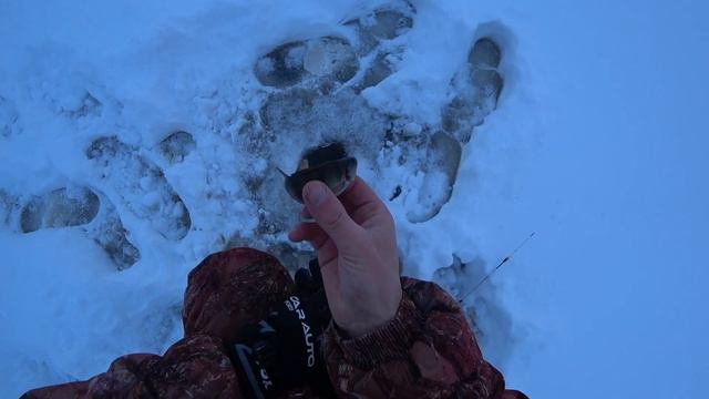 Зимняя рыбалка в Ленинградской области. оз. Дымское. смотреть онлайн