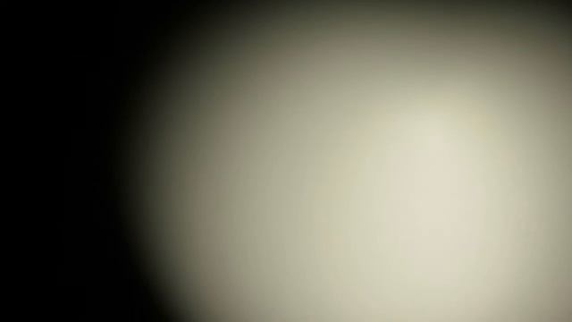 Prueba de zoom en cámara Canon 65x смотреть онлайн