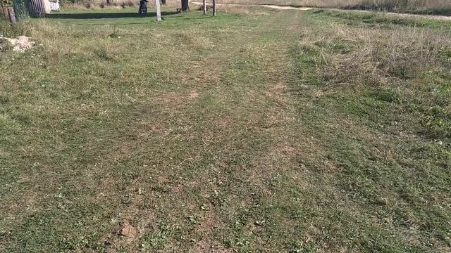 Стант на авантис смотреть онлайн