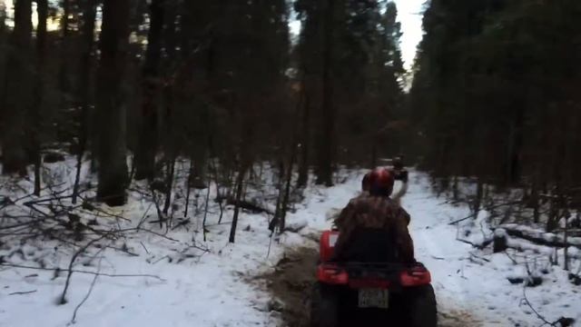 QuadRider.ru Катание на квадроциклах по трассе